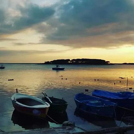 B&B Fior Di Mare Porto Cesareo Luaran gambar